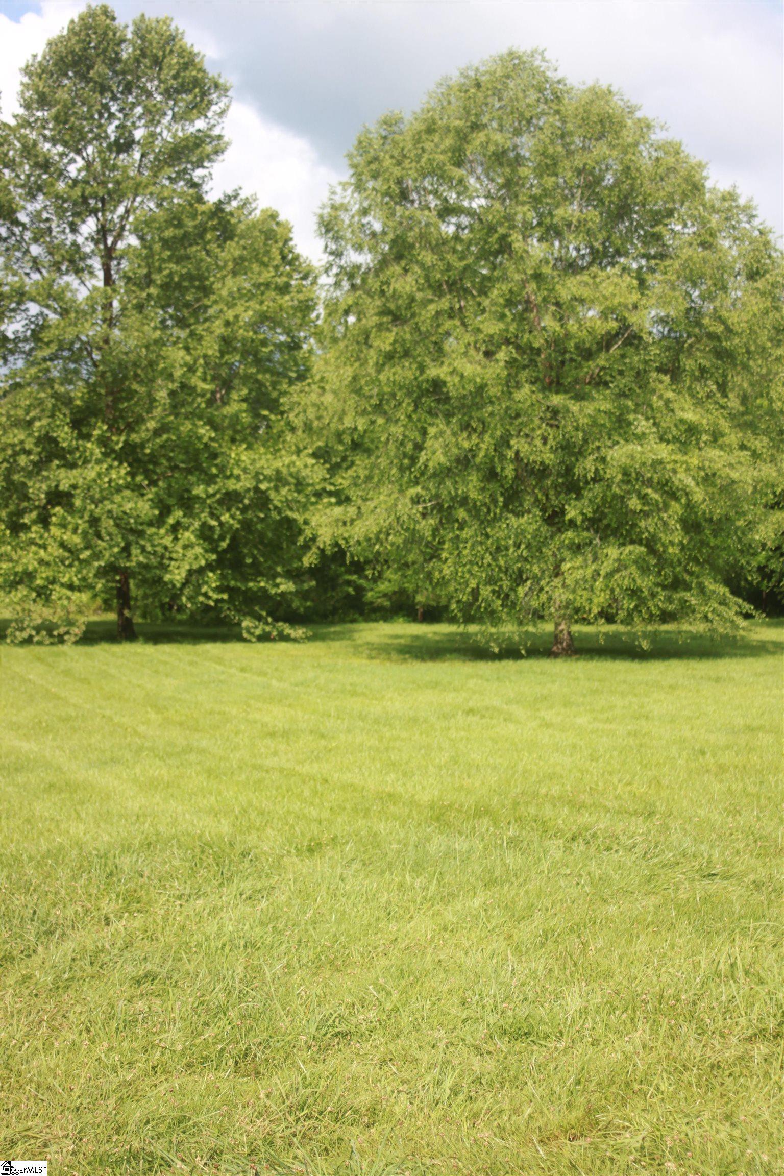 959 Cheohee Valley Road Tamassee, SC 29686 - Photo 10 of 24 Gallery Image 10