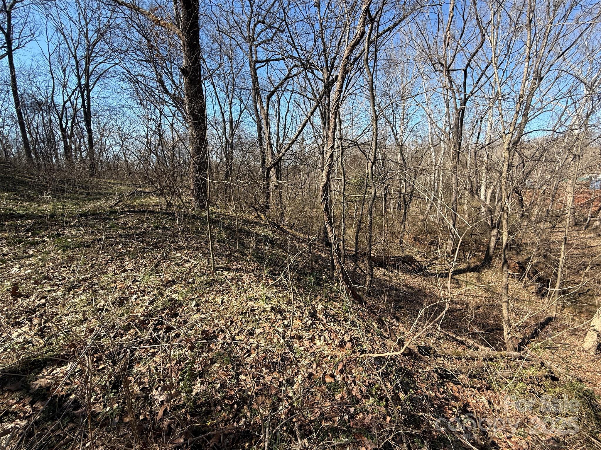 296 19th Avenue Southwest Hickory, NC 28602 - Photo 15 of 15