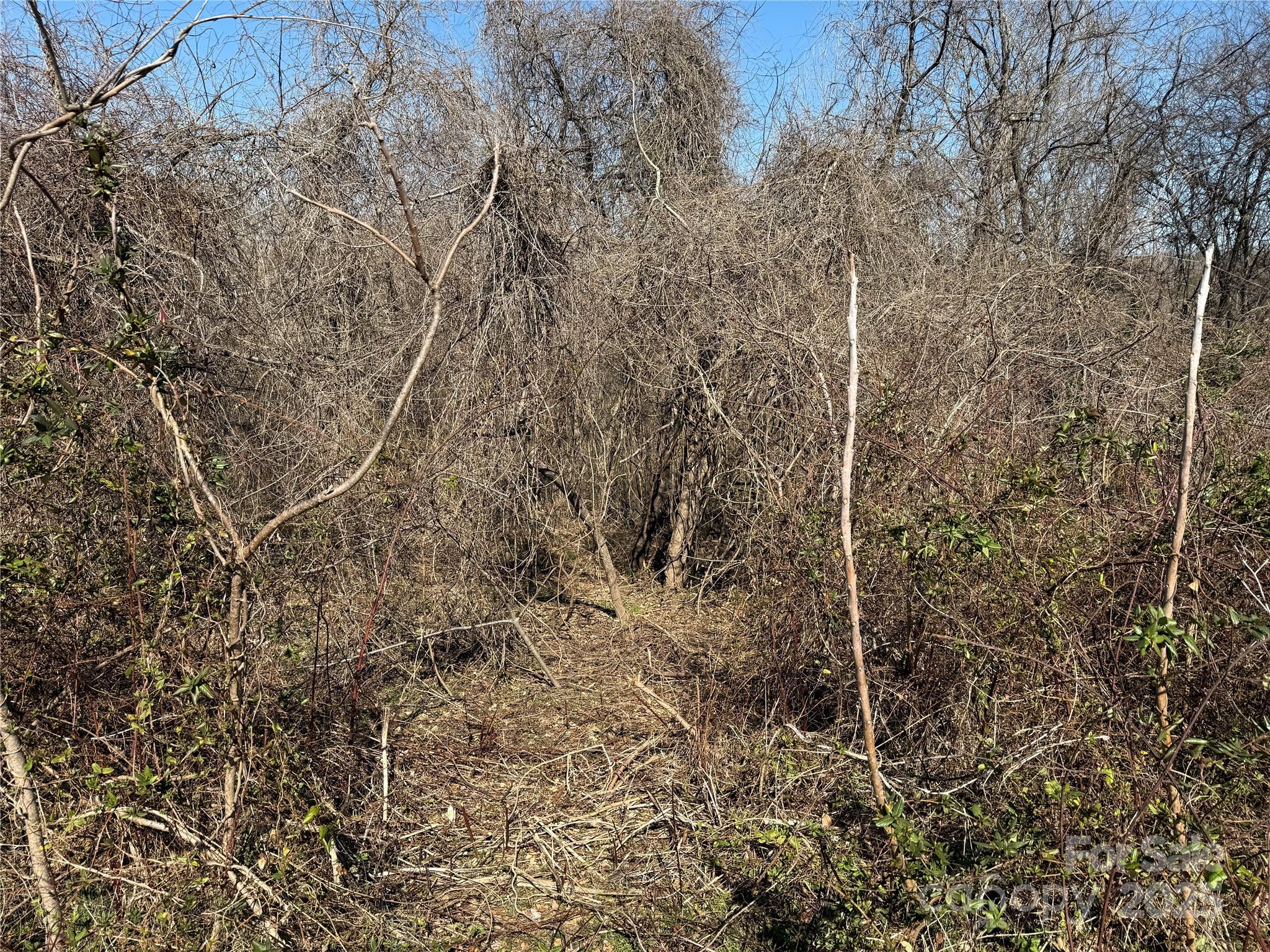 296 19th Avenue Southwest Hickory, NC 28602 - Photo 3 of 15