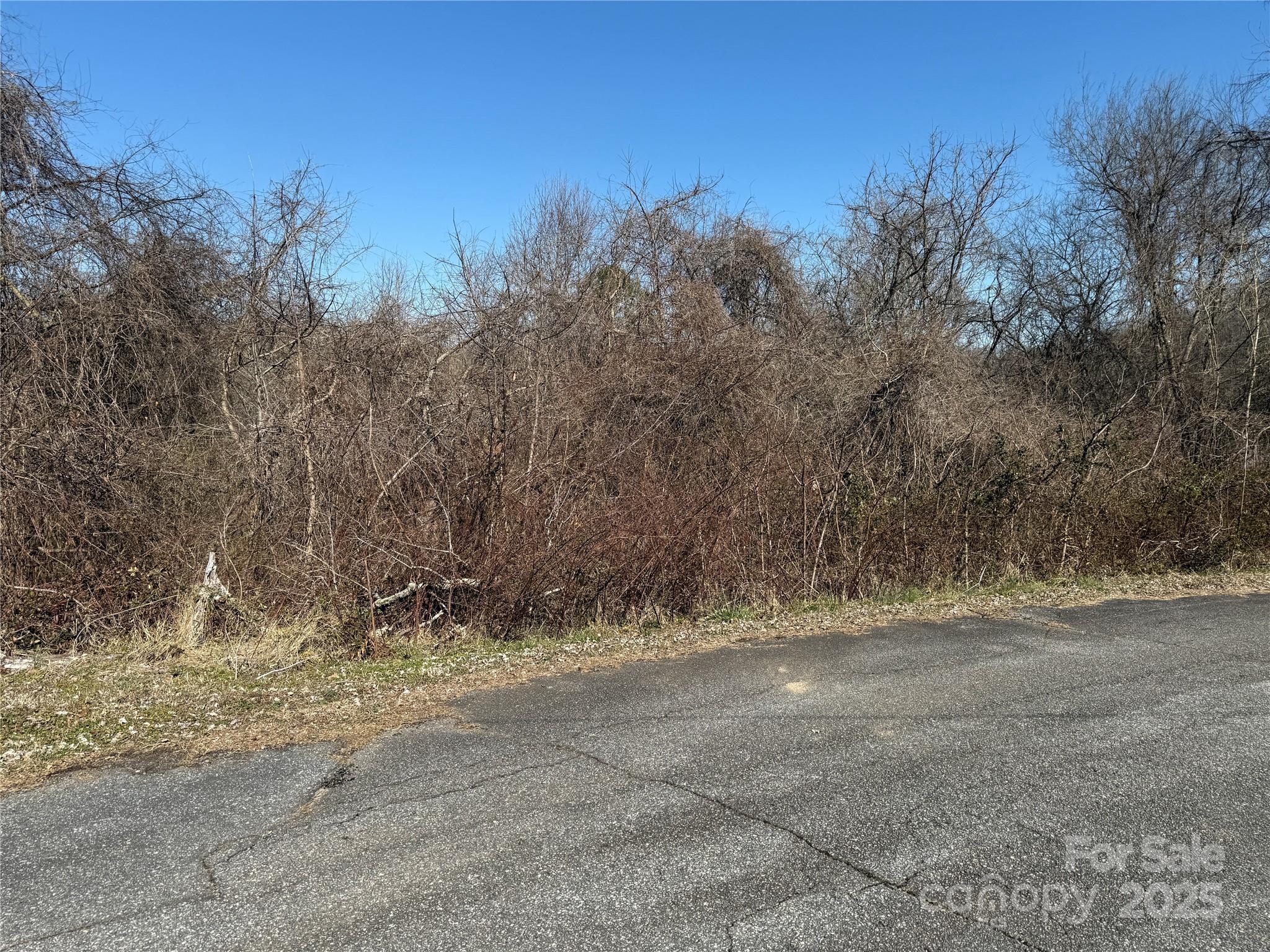 296 19th Avenue Southwest Hickory, NC 28602 - Photo 5 of 15