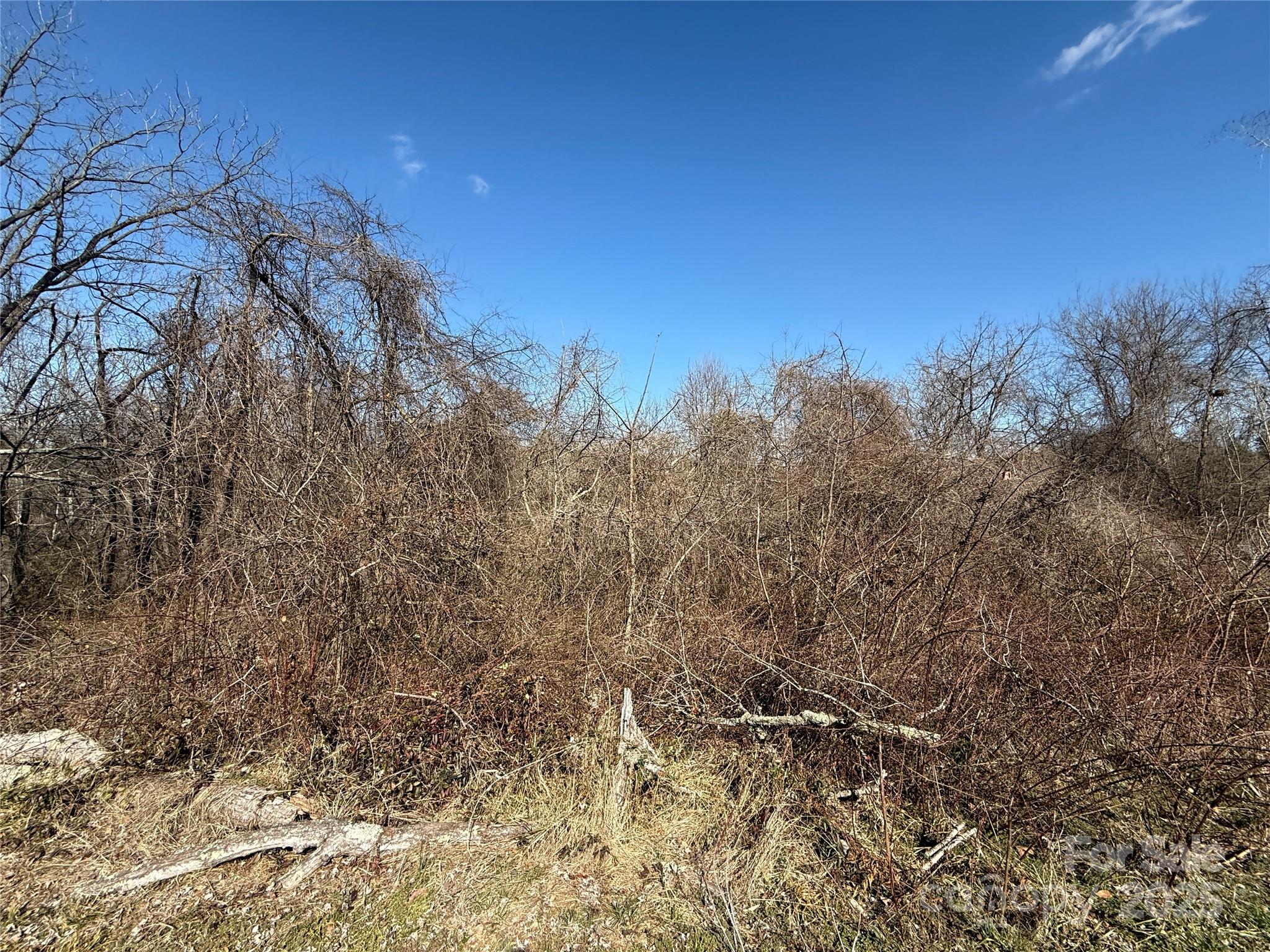296 19th Avenue Southwest Hickory, NC 28602 - Photo 6 of 15