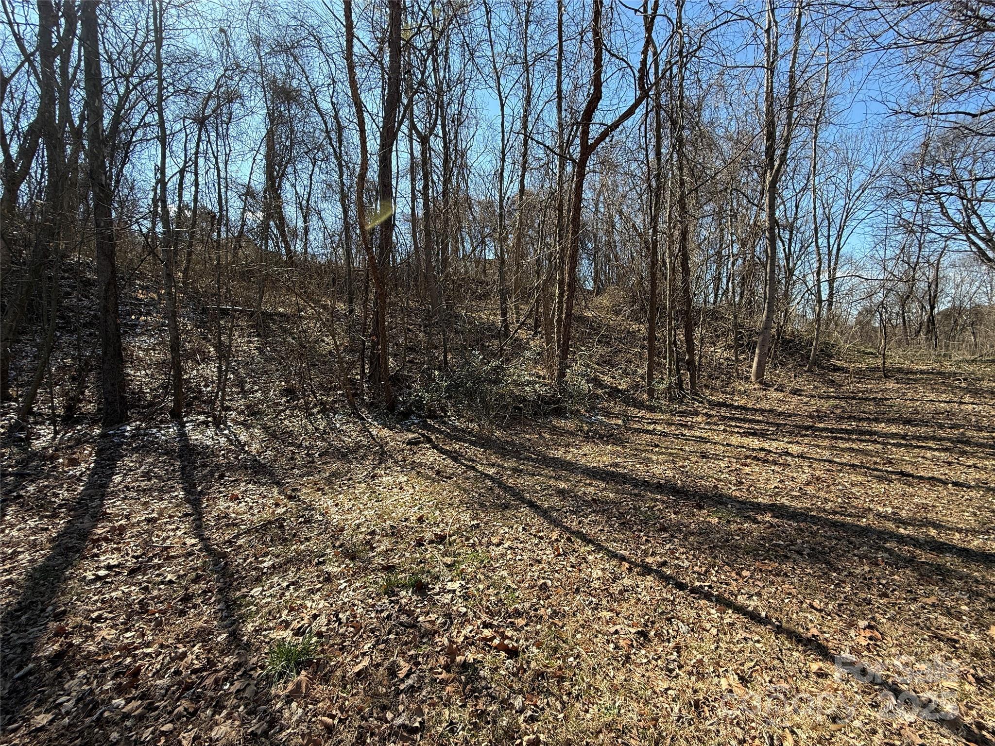 296 19th Avenue Southwest Hickory, NC 28602 - Photo 7 of 15