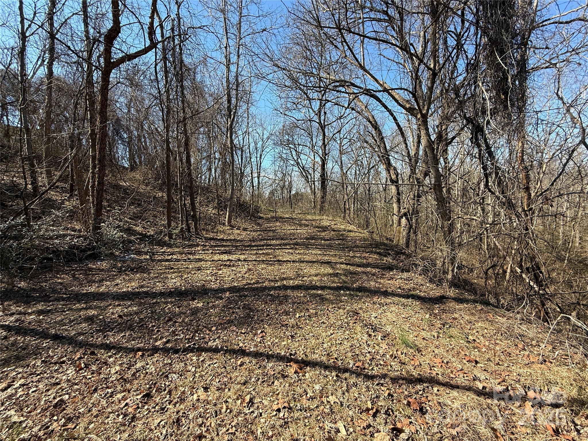296 19th Avenue Southwest Hickory, NC 28602 - Photo 8 of 15