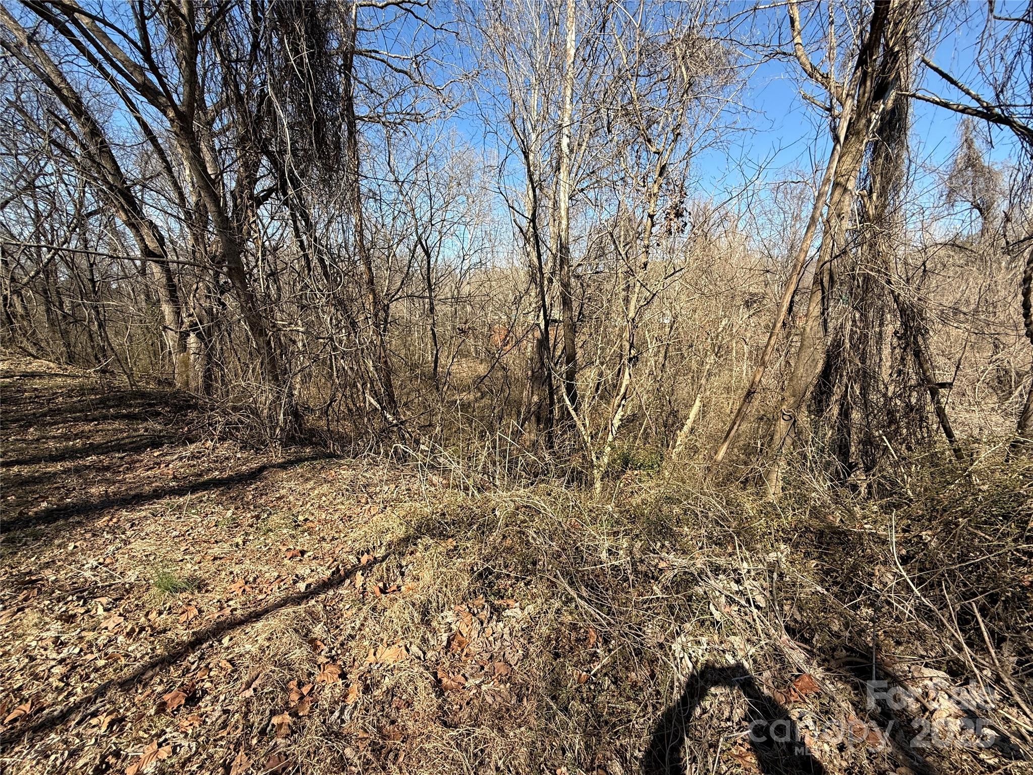 296 19th Avenue Southwest Hickory, NC 28602 - Photo 9 of 15