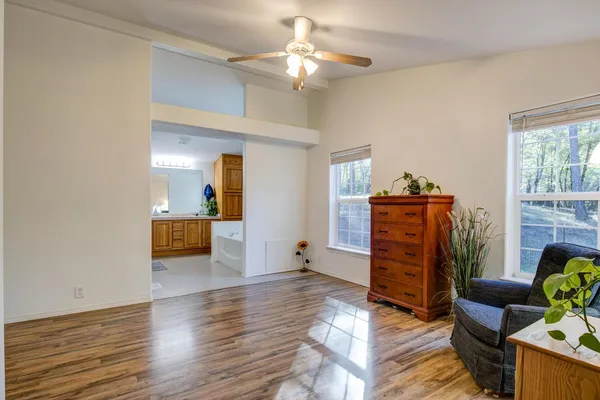 a view of a tree in the middle of a yard