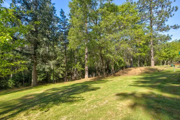 a view of a yard with a tree