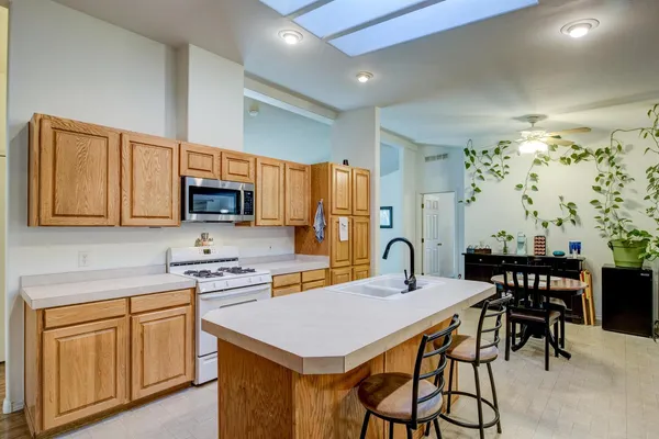 a view of swimming pool with large trees