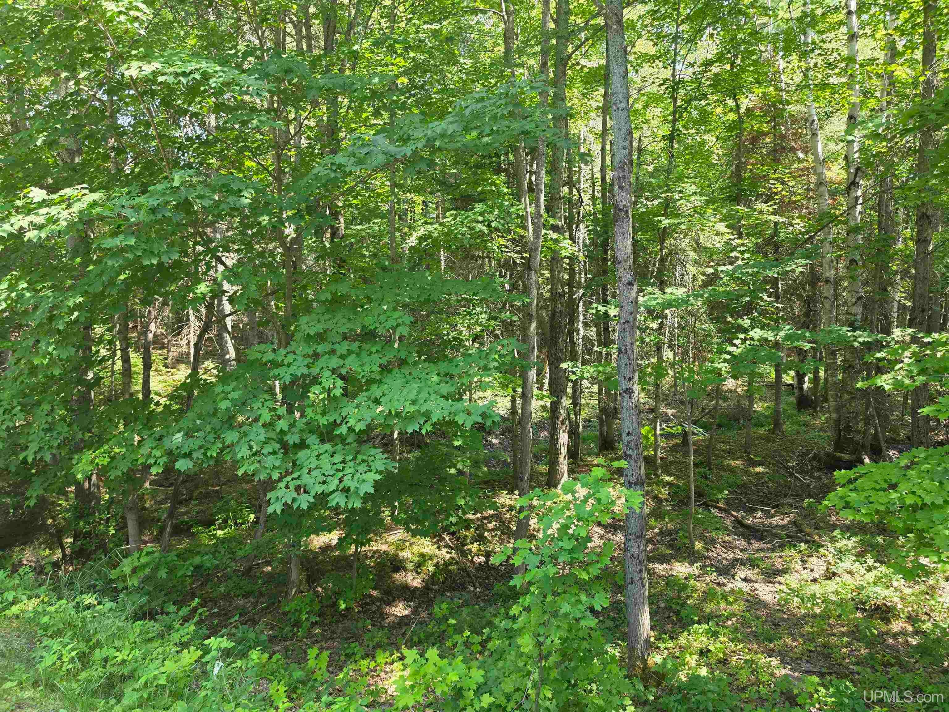510 Rd Negaunee Mi 49866 Road Negaunee, MI 49866 - Photo 23 of 25 Gallery Image 23