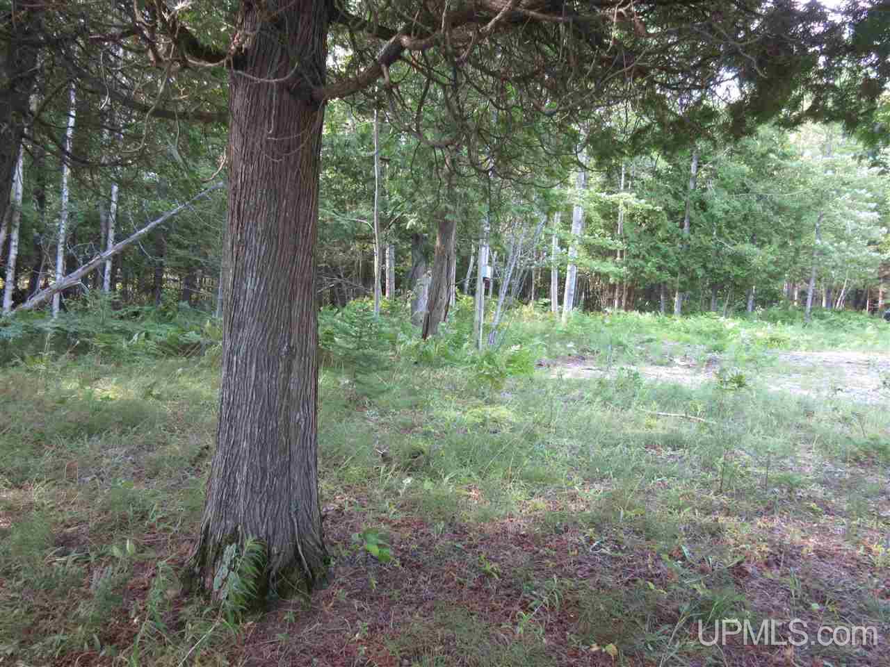 3365 West North Gulliver Lake Road Gulliver, MI 49840 - Photo 16 of 17