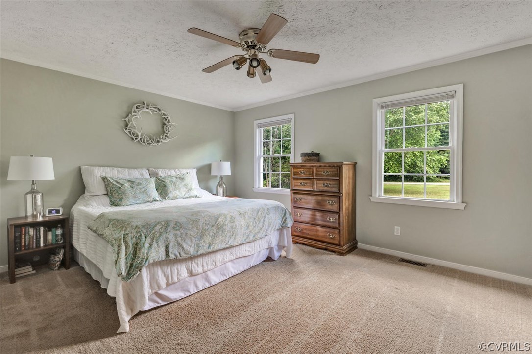 4257 Pierce Road Powhatan, VA 23139 - Photo 15 of 28 Gallery Image 15