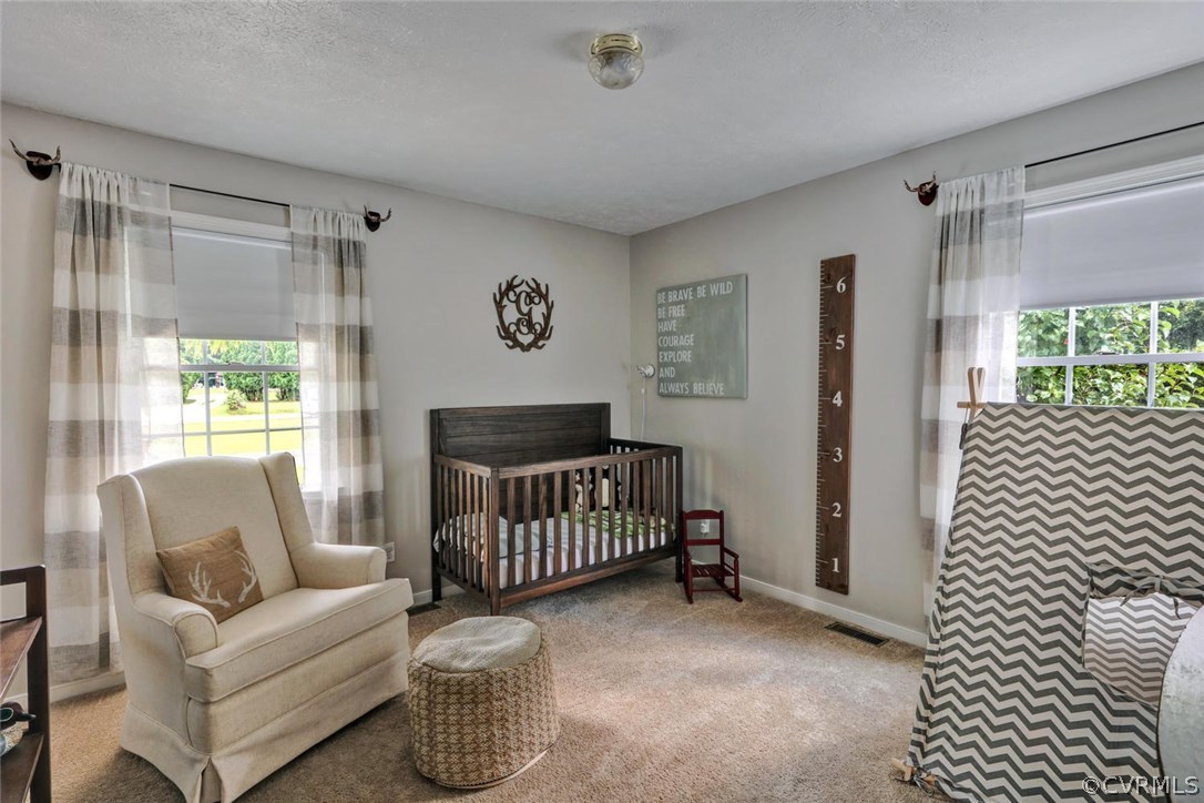 4257 Pierce Road Powhatan, VA 23139 - Photo 22 of 28 Gallery Image 22