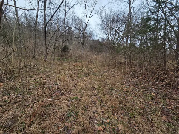 $32,000 | 0 156th Highway, Patriot, IN 47038