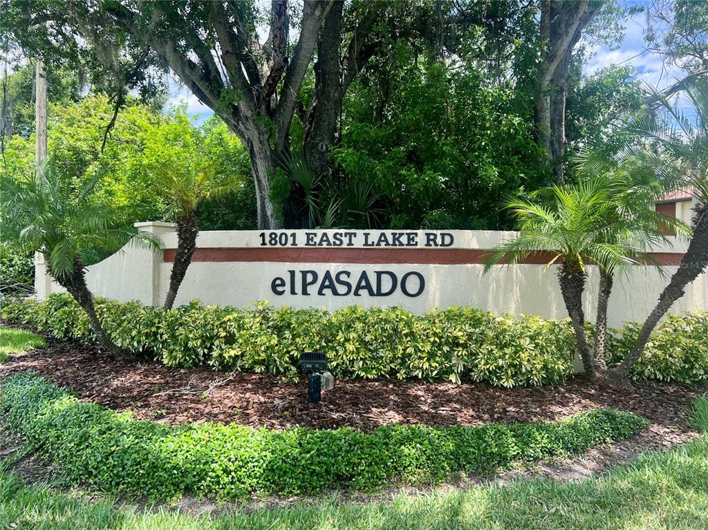 1801 East Lake Road South, Unit 17C Palm Harbor, FL 34685 - Photo 2 of 61