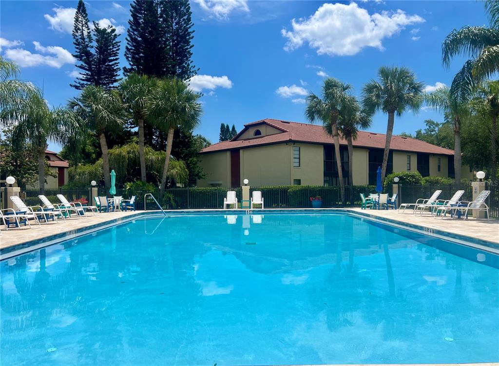 1801 East Lake Road South, Unit 17C Palm Harbor, FL 34685 - Photo 52 of 61