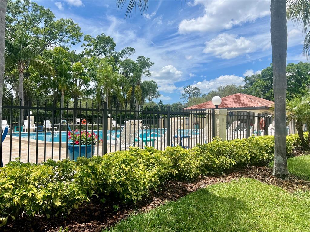 1801 East Lake Road South, Unit 17C Palm Harbor, FL 34685 - Photo 56 of 61