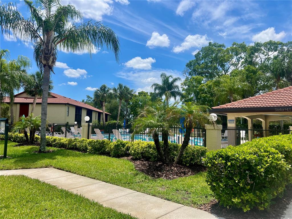1801 East Lake Road South, Unit 17C Palm Harbor, FL 34685 - Photo 57 of 61