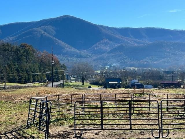3 Burns Road Sevierville, TN 37862 - Photo 1 of 19