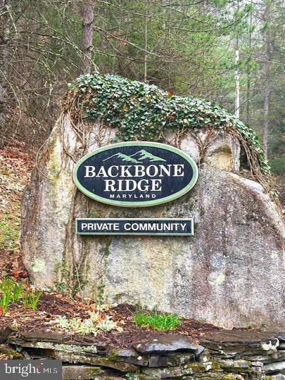 Lot 7 Backbone Ridge Road Oakland, MD 21550 - Photo 2 of 7