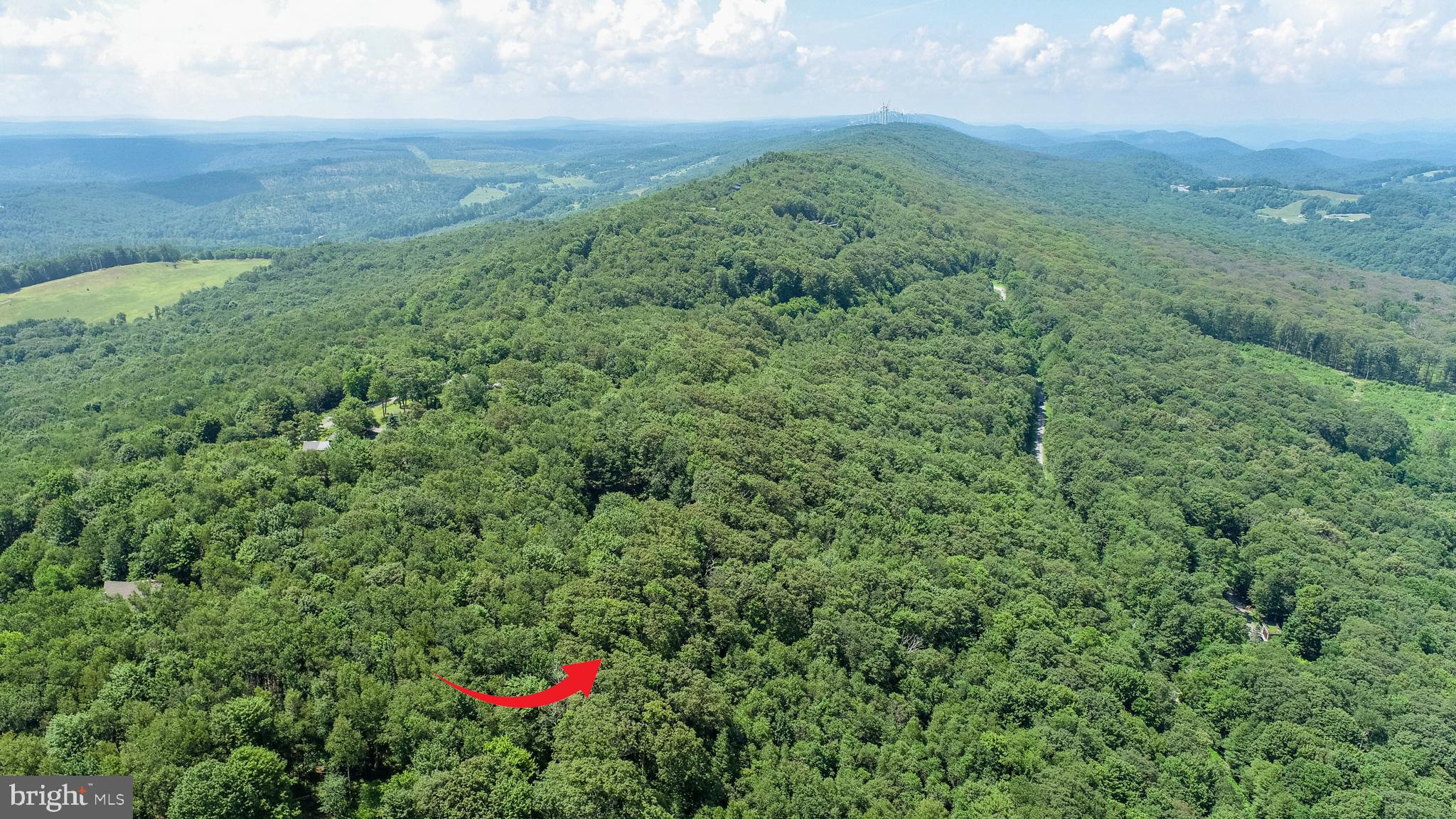 Lot 7 Backbone Ridge Road Oakland, MD 21550 - Photo 5 of 7 a view of a green field with lots of flower in it