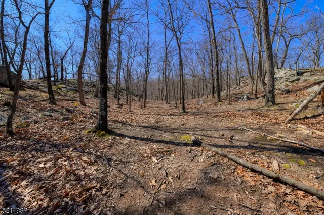 a view of outdoor space with lots of trees