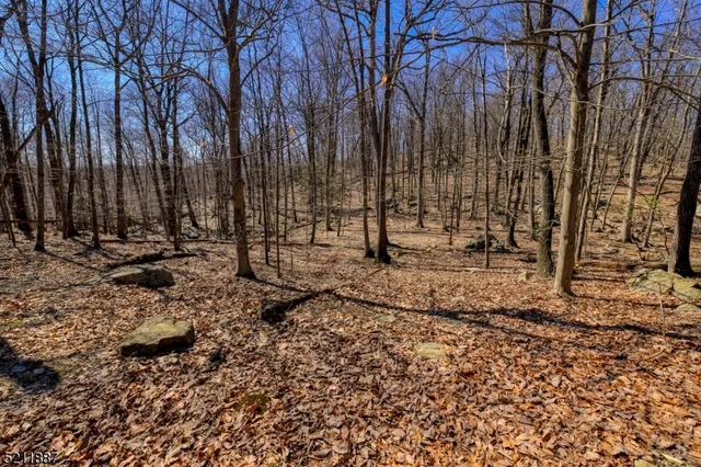 a view of a yard with trees