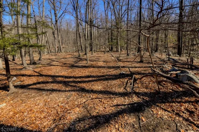 a view of outdoor space with trees