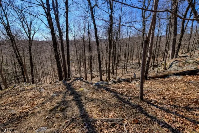 a view of a backyard of the house