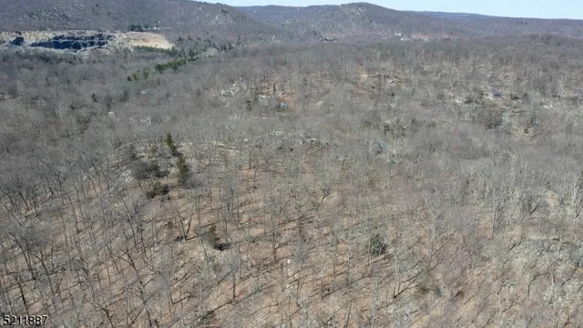 a close up of a plant