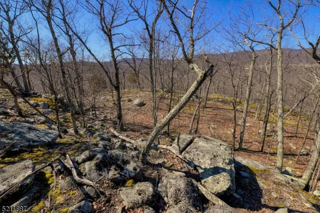 a view of a yard with plants and wooden fence