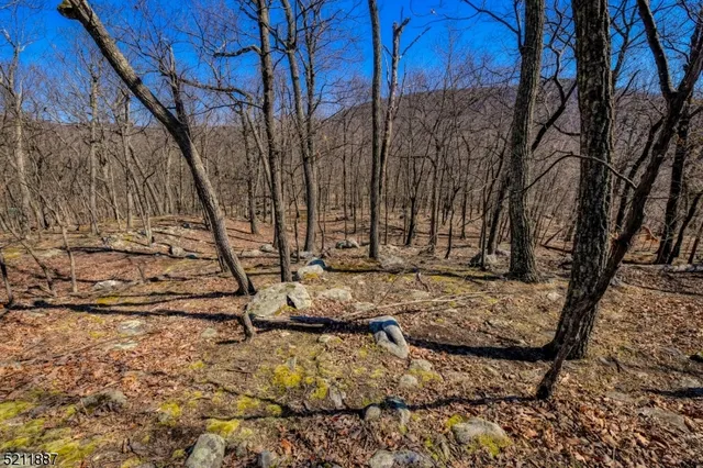 a view of a yard with trees