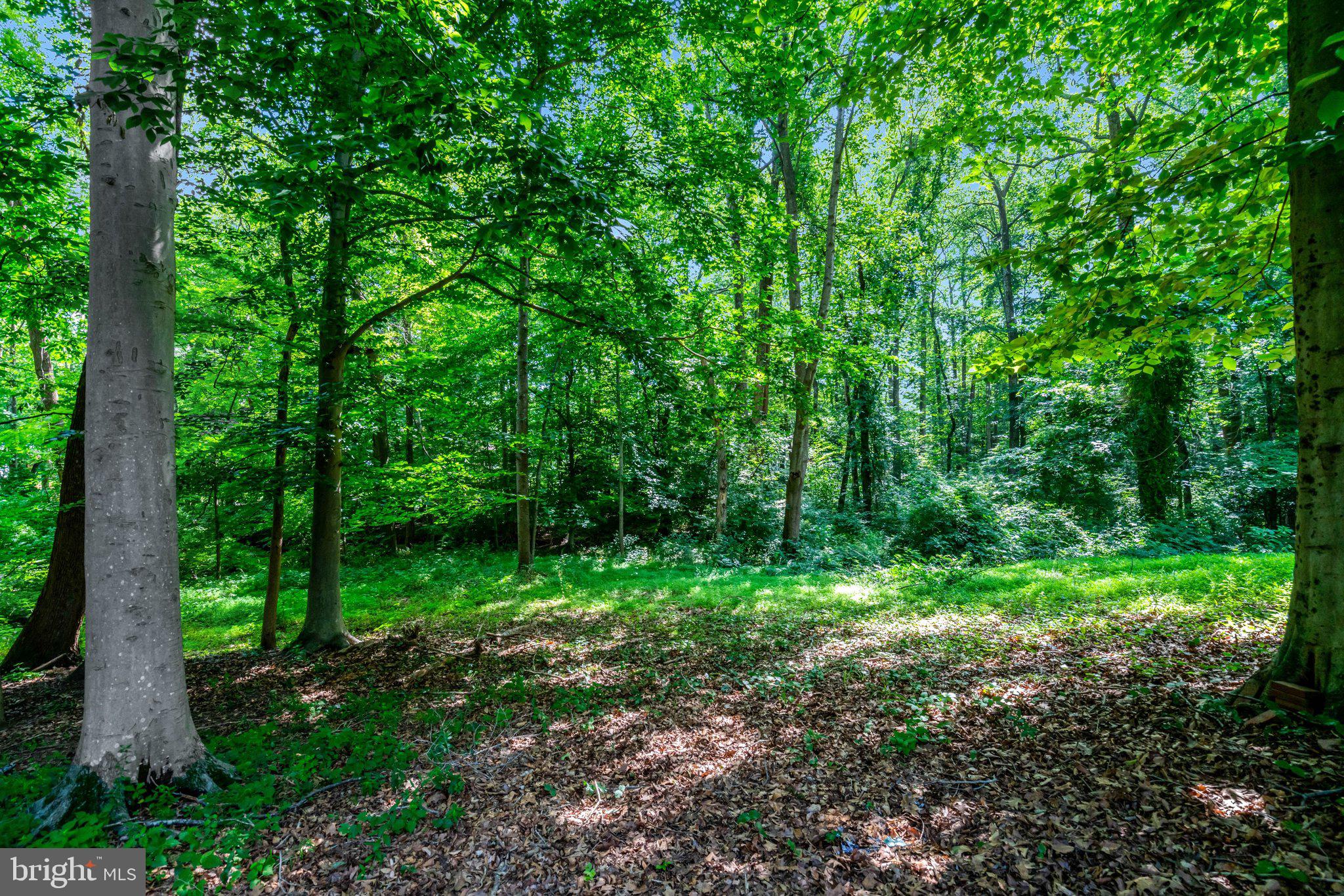 7217 Reservation Drive Springfield, VA 22153 - Photo 51 of 57