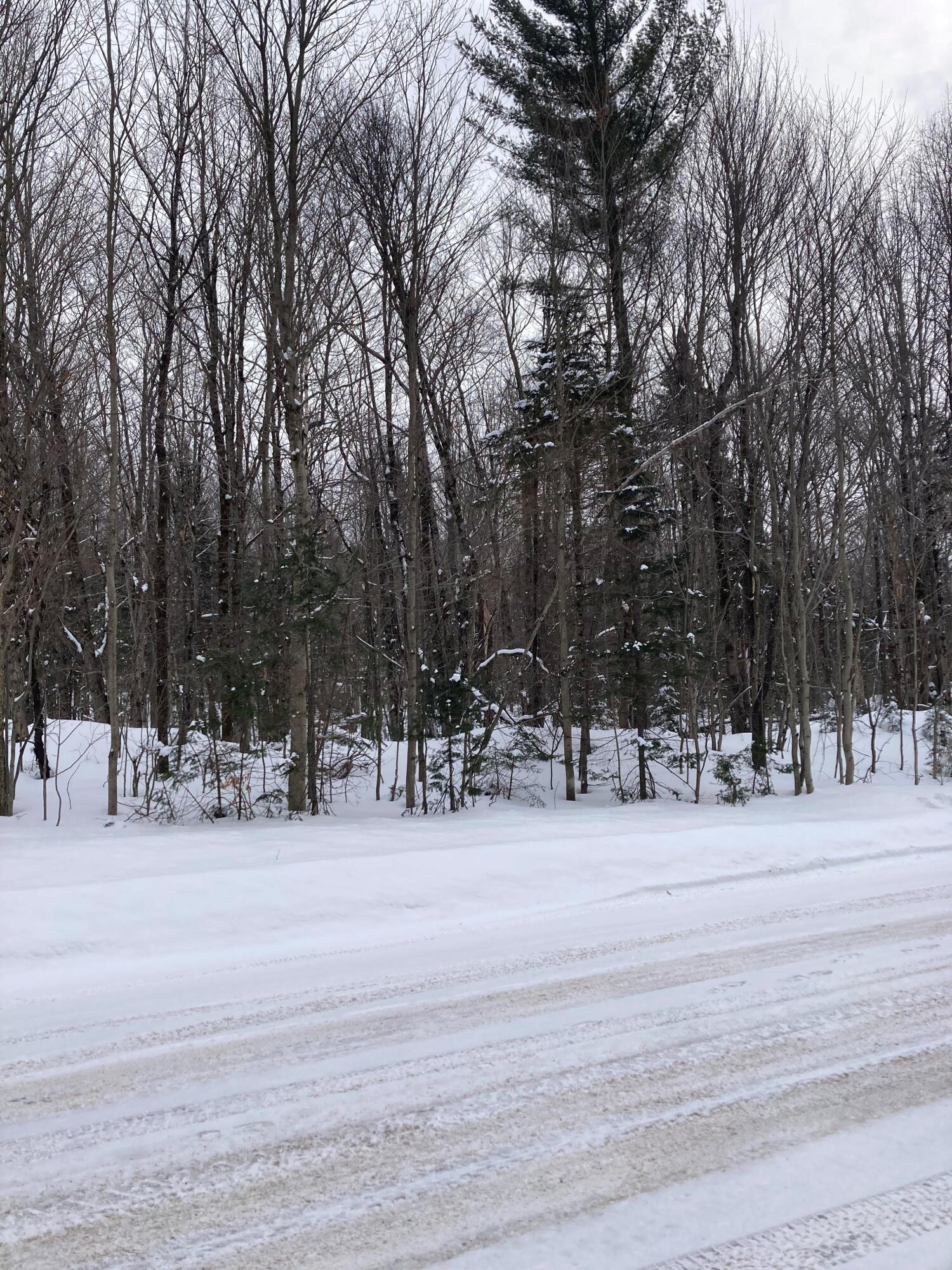 0 Walkerville Road North Bangor, NY 12966 - Photo 4 of 5 Land