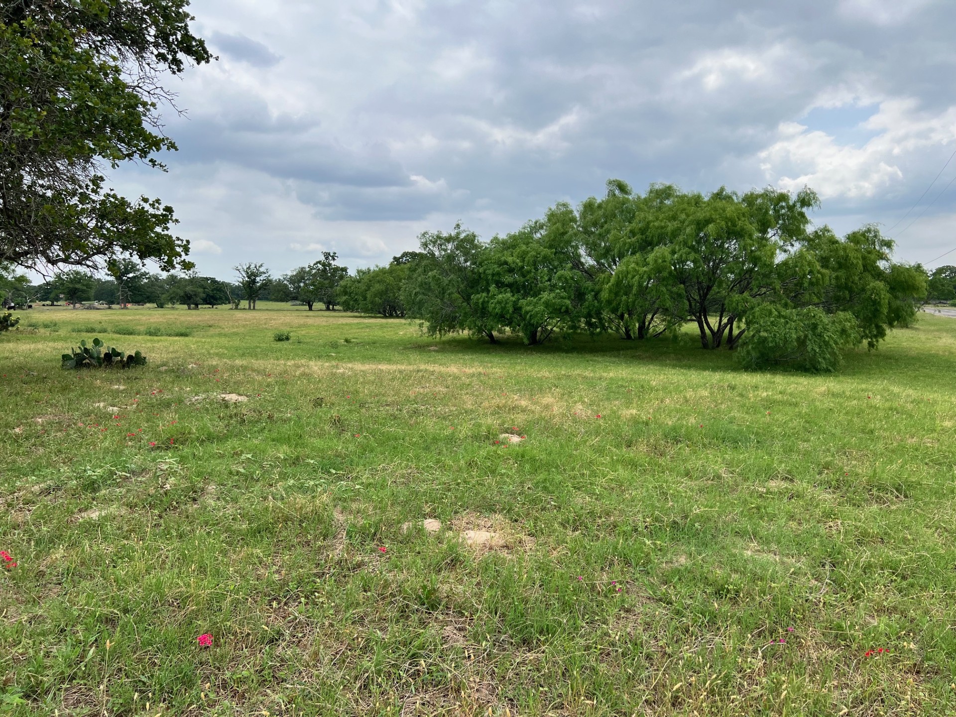 Lot 17 Settlement Way Luling, TX 78648 - Photo 4 of 14 Rolling green landscape offering natural beauty and mature trees, ideal for a private estate.