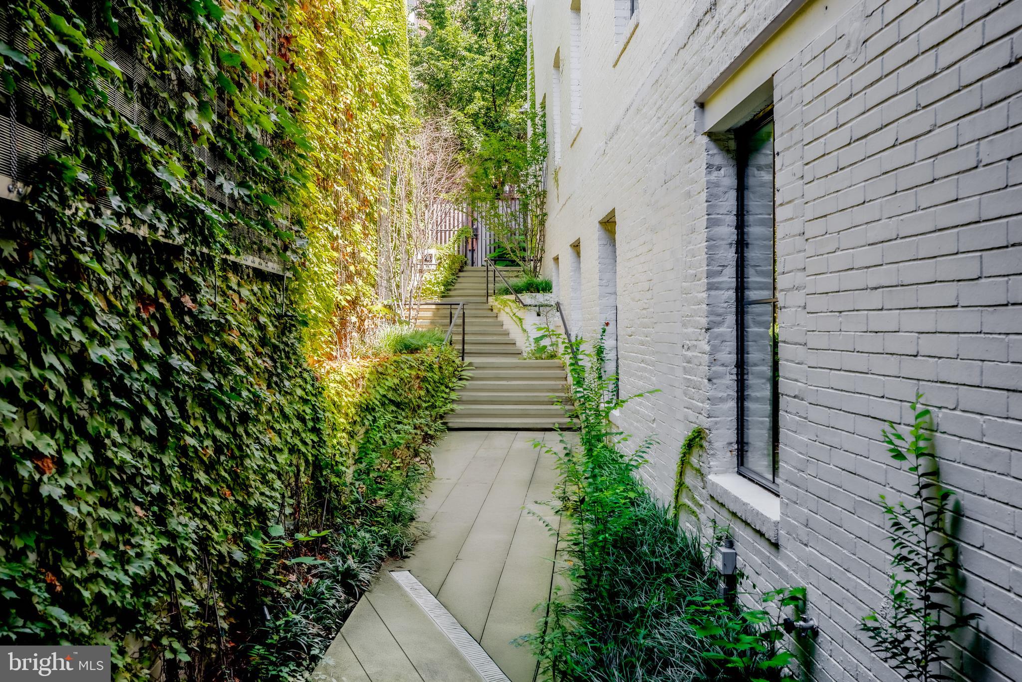 3240 Prospect Street Northwest Washington, DC 20007 - Photo 47 of 50 Landscaping by Arentz Landscape Architects