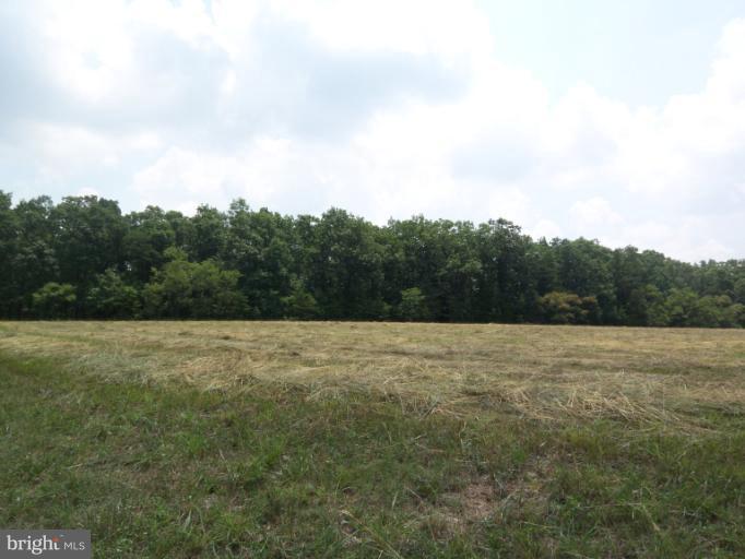 1220 North Timber Ridge Road Cross Junction, VA 22625 - Photo 14 of 30 Exterior (General)