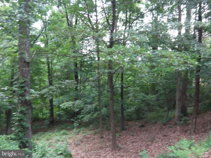 1220 North Timber Ridge Road Cross Junction, VA 22625 - Photo 17 of 30 Exterior (Rear)