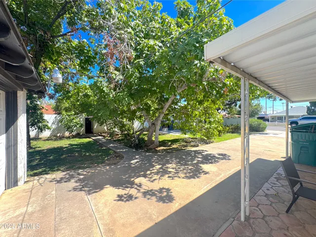 a view of a backyard with a tree