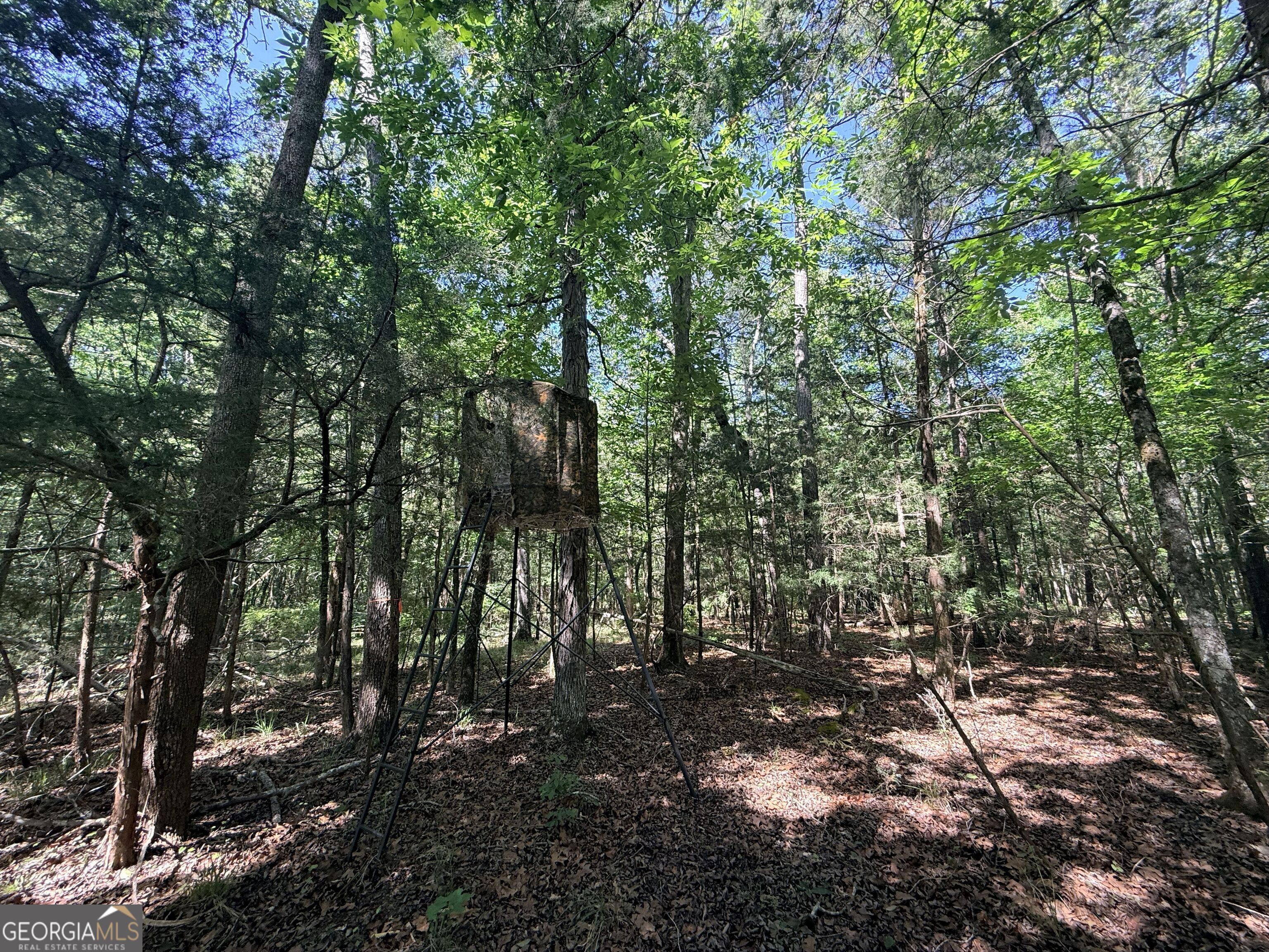 580 Saggus Road Washington, GA 30673 - Photo 32 of 54