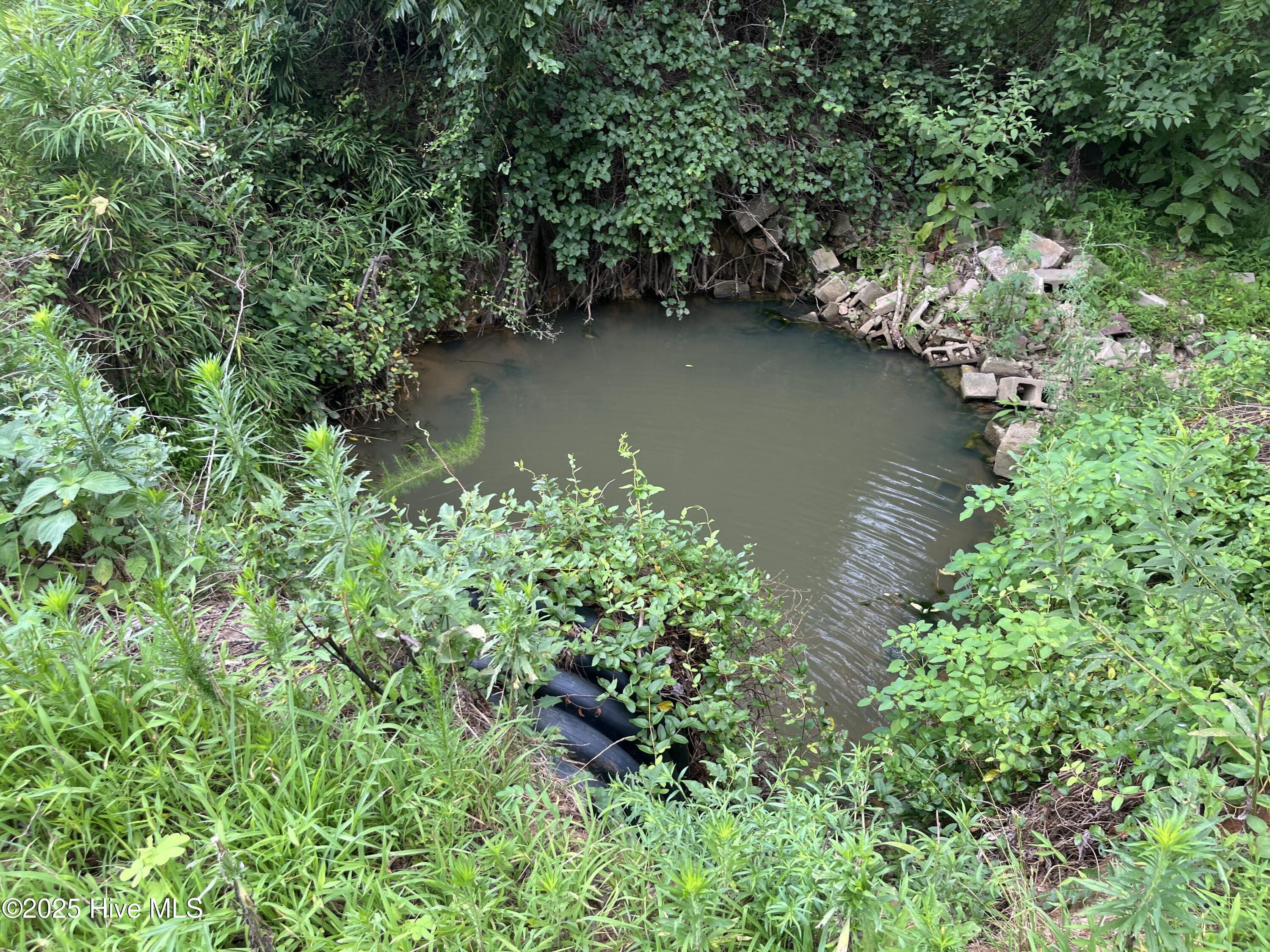 3508 Sheep Pasture Road Spring Hope, NC 27882 - Photo 4 of 7 Manning 1