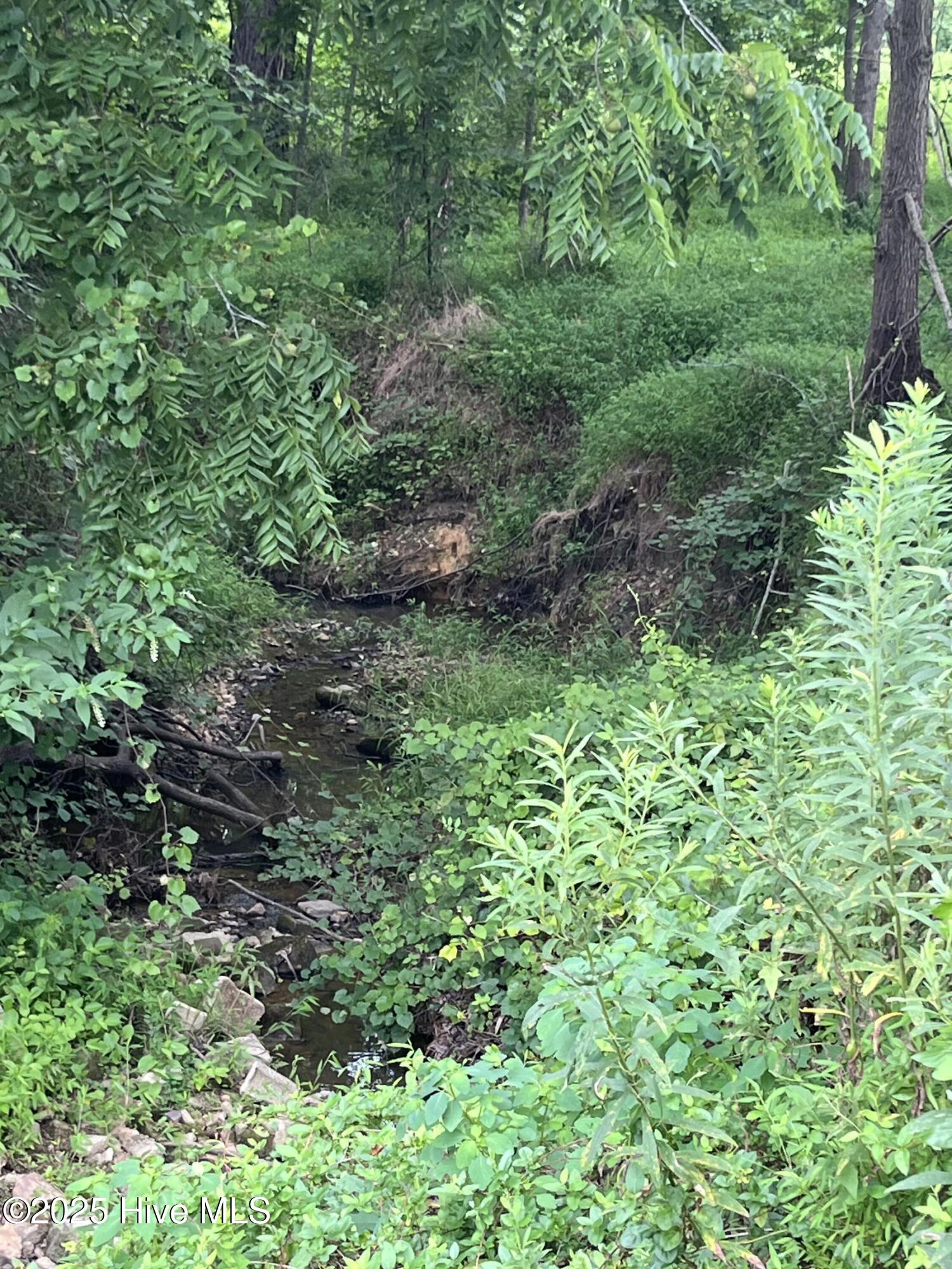 3508 Sheep Pasture Road Spring Hope, NC 27882 - Photo 6 of 7 Manning 4