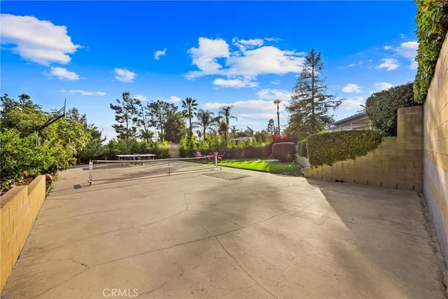 a view of a garden with plants and large trees