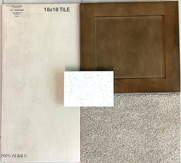 643 West Riparian Drive San Tan Valley, AZ 85140 - Photo 3 of 12 Lot 1059_Selections_QMI_10.1.25