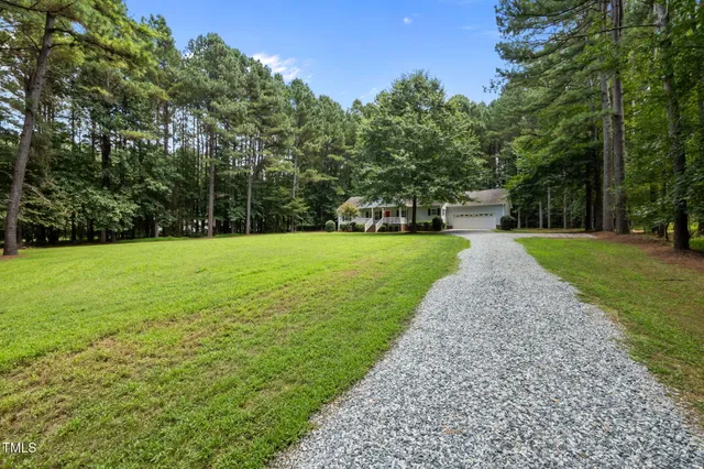 a view of a park with trees in the background