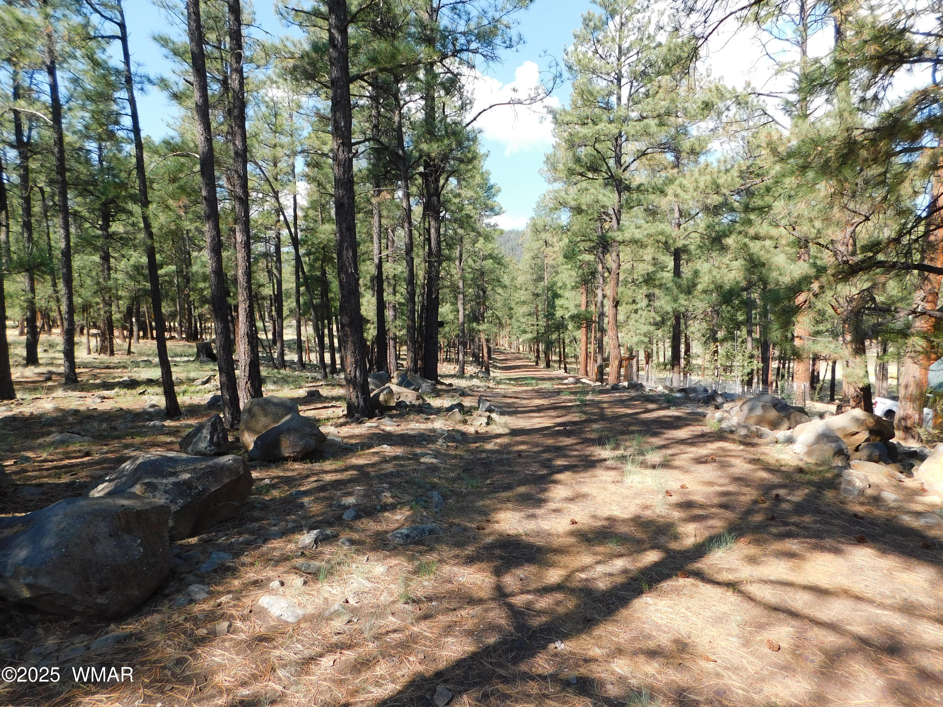 1.17 Ac Unk Greer, AZ 85927 - Photo 11 of 13 a view of road with trees