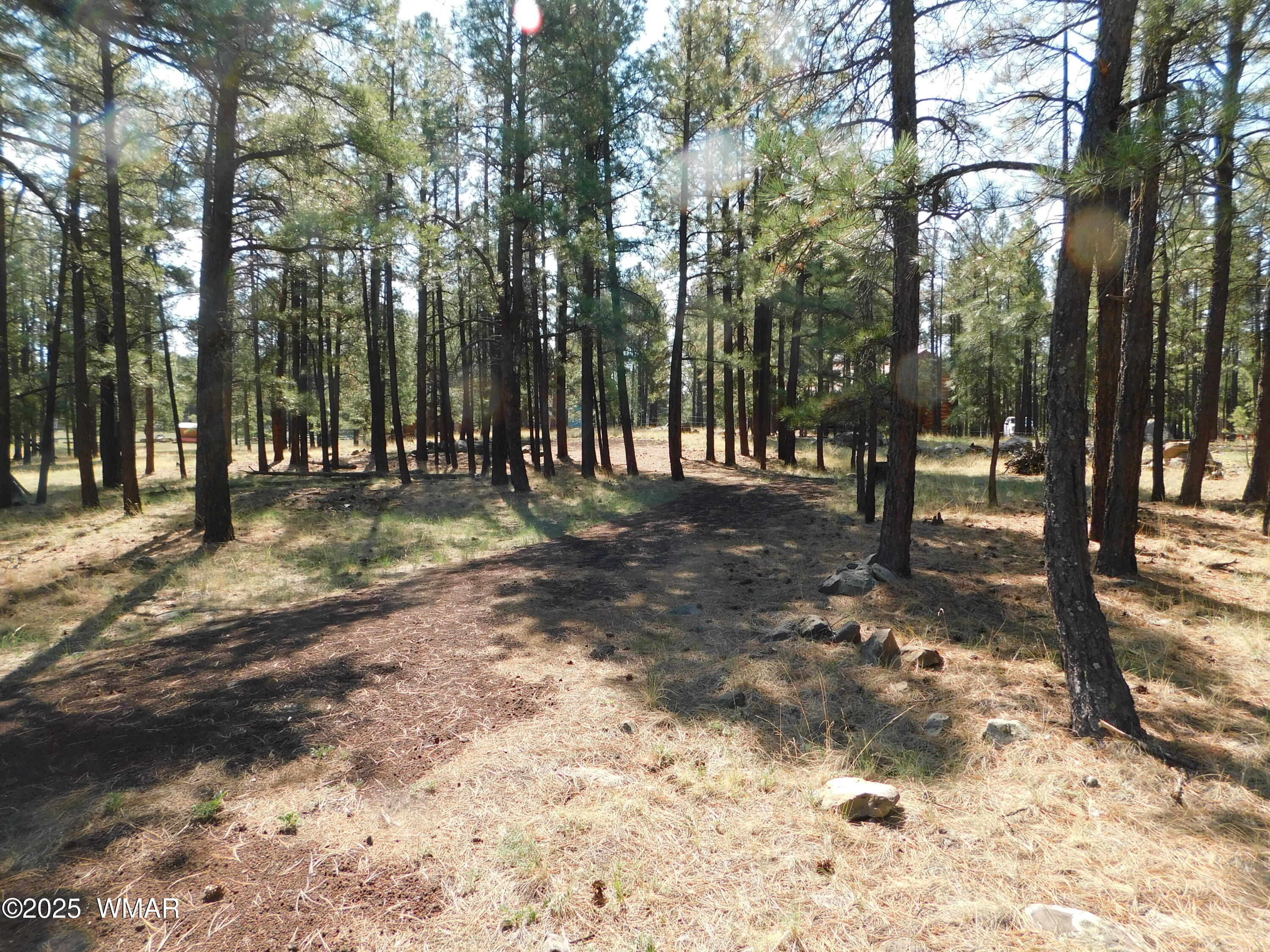 1.17 Ac Unk Greer, AZ 85927 - Photo 12 of 13 a view of outdoor space with trees