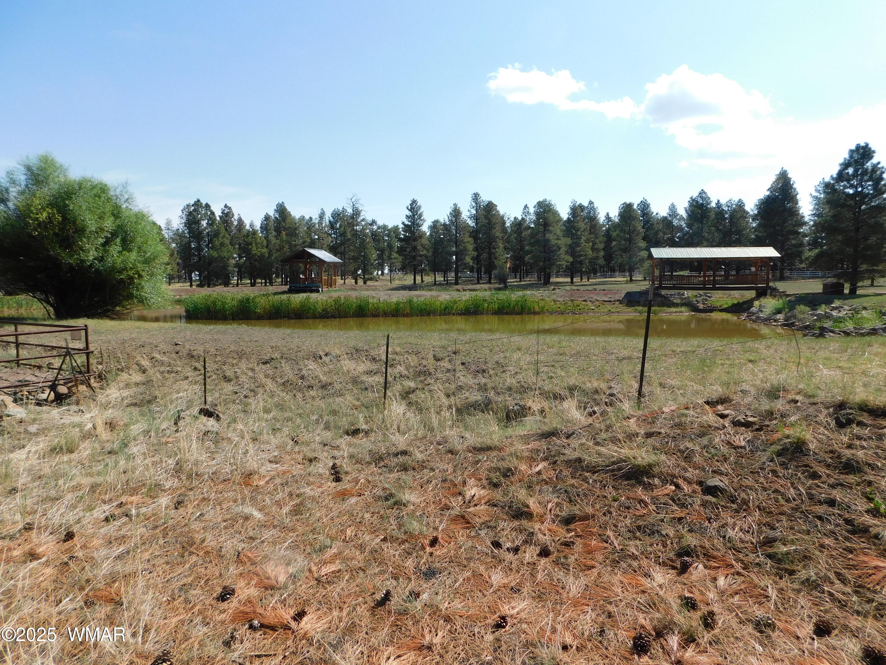1.17 Ac Unk Greer, AZ 85927 - Photo 4 of 13 a view of lake with green space
