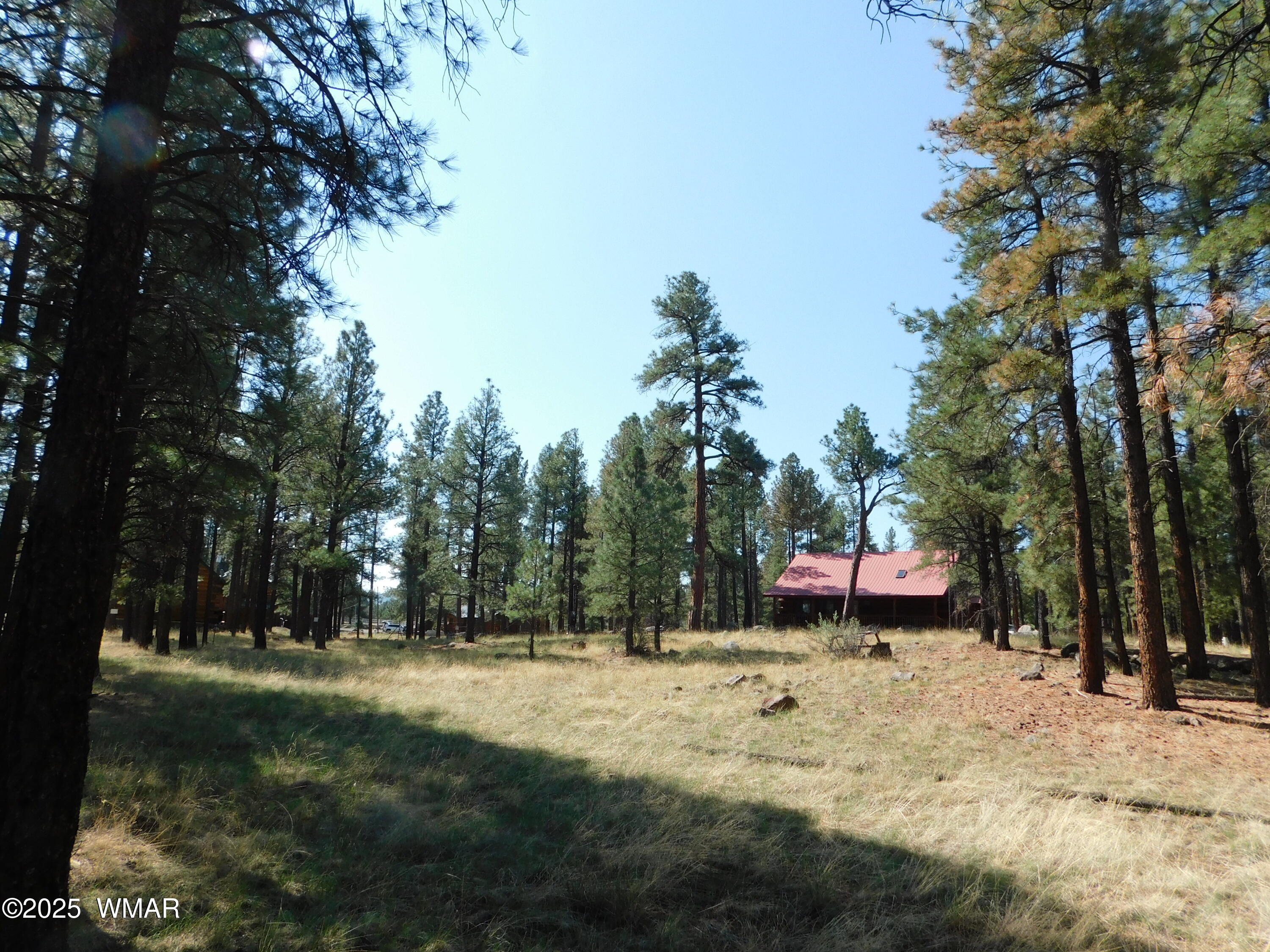 1.17 Ac Unk Greer, AZ 85927 - Photo 8 of 13 a view of outdoor space with trees