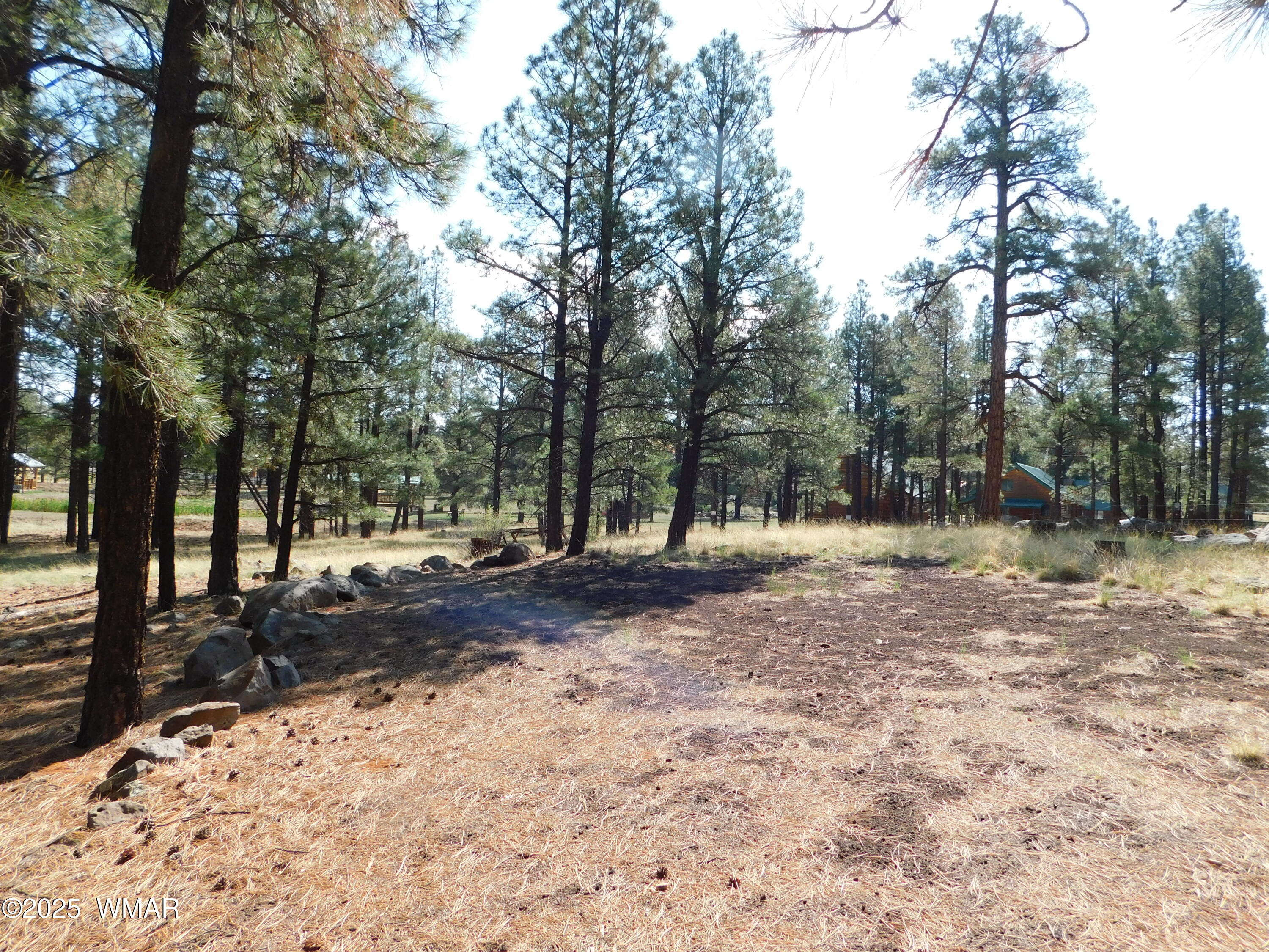 1.17 Ac Unk Greer, AZ 85927 - Photo 10 of 13 a view of a yard with trees