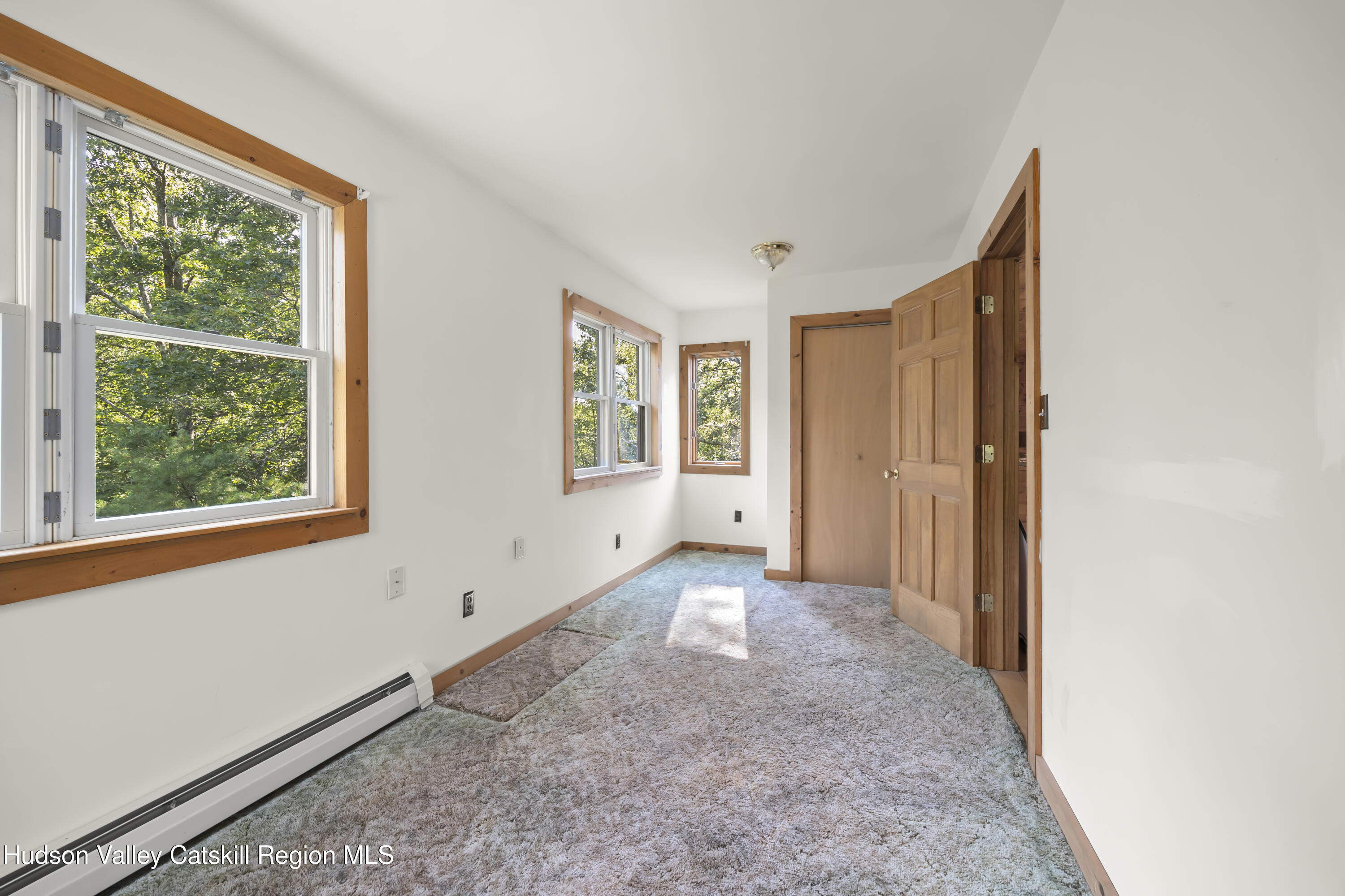 117 Spring Street Craryville, NY 12521 - Photo 19 of 31 an empty room with windows