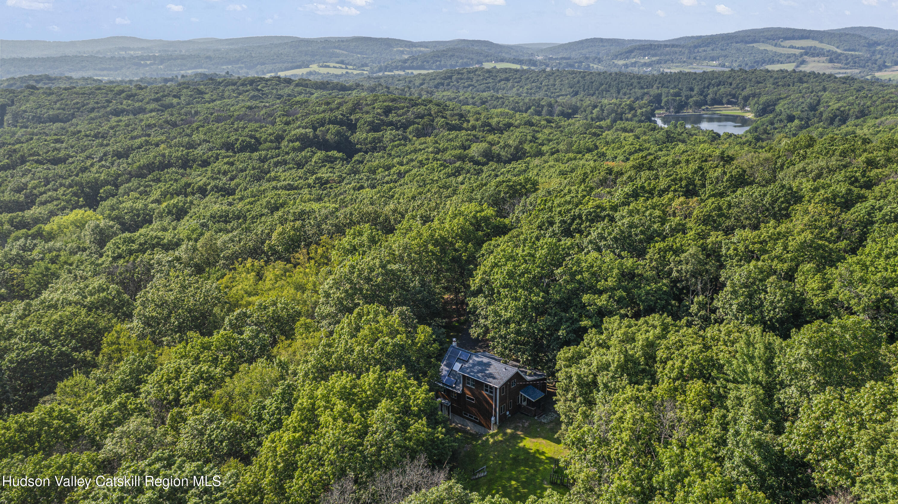 117 Spring Street Craryville, NY 12521 - Photo 28 of 31 a view of a lush green forest with trees in the background